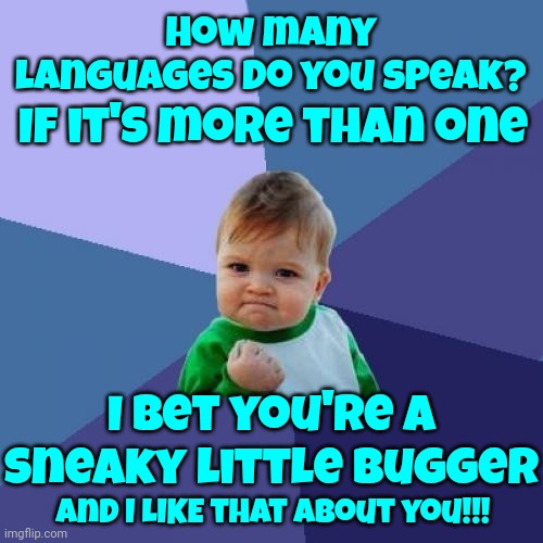 My Favorite People Are Into Sarcasm!  If You're Not Sarcastic ... Why Aren't You Sarcastic?  Sarcastic People Are FUN! | How many languages do you speak? If it's more than one; I bet you're a sneaky little bugger; And I LIKE that about you!!! | image tagged in memes,success kid,sarcasm,sarcastic,intelligence,fun | made w/ Imgflip meme maker