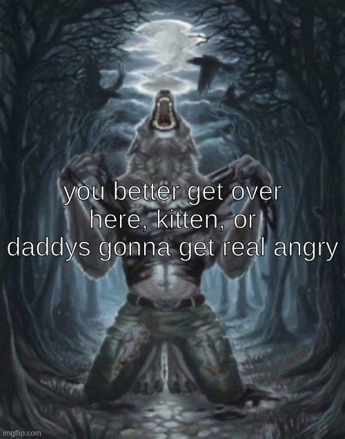alpha wolf | you better get over here, kitten, or daddys gonna get real angry | image tagged in alpha wolf | made w/ Imgflip meme maker