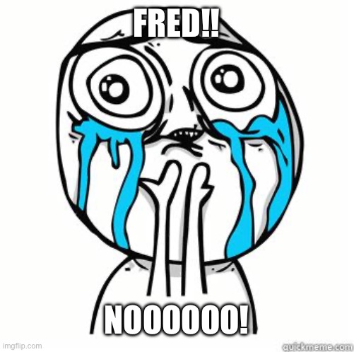 Crying Face | FRED!! NOOOOOO! | image tagged in crying face | made w/ Imgflip meme maker