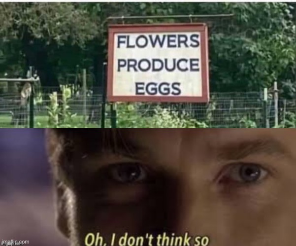 Flowers produce eggs | image tagged in oh i don't think so,flowers,eggs,producer | made w/ Imgflip meme maker