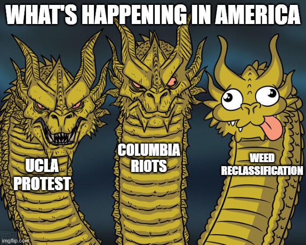 Yes, really. In New Mexico, marijuana is now a "less dangerous drug." | WHAT'S HAPPENING IN AMERICA; COLUMBIA RIOTS; WEED RECLASSIFICATION; UCLA PROTEST | image tagged in three-headed dragon | made w/ Imgflip meme maker