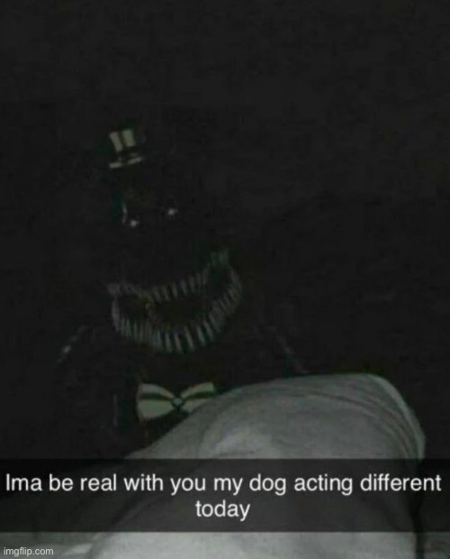 What a cute dog | image tagged in memes | made w/ Imgflip meme maker