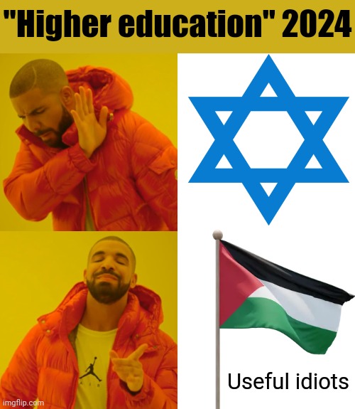 Drake Hotline Bling | "Higher education" 2024; Useful idiots | image tagged in memes,drake hotline bling | made w/ Imgflip meme maker