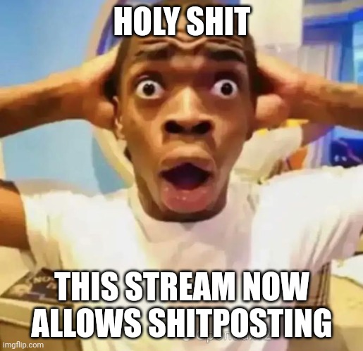 Shocked black guy | HOLY SHIT; THIS STREAM NOW ALLOWS SHITPOSTING | image tagged in shocked black guy | made w/ Imgflip meme maker