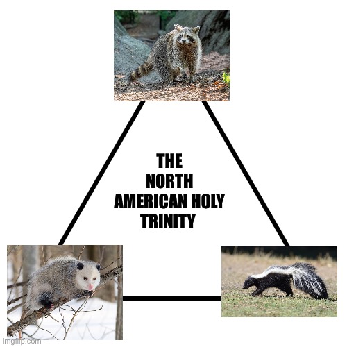 Simp Trinity | THE NORTH AMERICAN HOLY TRINITY | image tagged in simp trinity,holy trinity,memes,animal meme,funny animal meme,shitpost | made w/ Imgflip meme maker