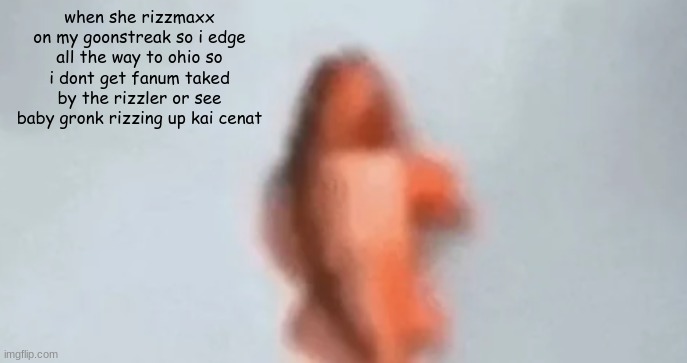 am i cooked (new copypasta moment) | when she rizzmaxx on my goonstreak so i edge all the way to ohio so i dont get fanum taked by the rizzler or see baby gronk rizzing up kai cenat | image tagged in fish | made w/ Imgflip meme maker