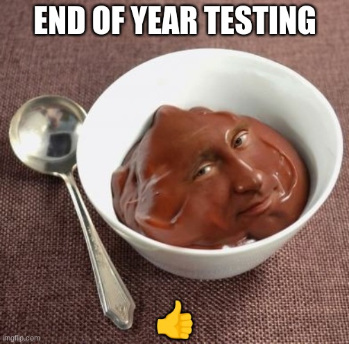 Vladimir Pudding | END OF YEAR TESTING; 👍 | image tagged in vladimir pudding | made w/ Imgflip meme maker