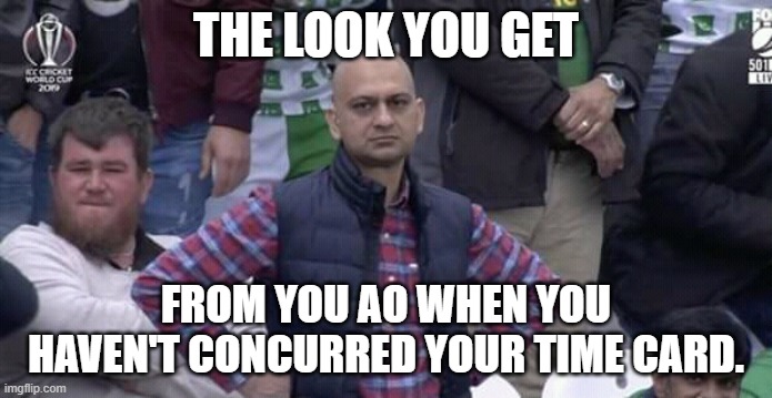 Time Cards | THE LOOK YOU GET; FROM YOU AO WHEN YOU HAVEN'T CONCURRED YOUR TIME CARD. | image tagged in annoyed man | made w/ Imgflip meme maker