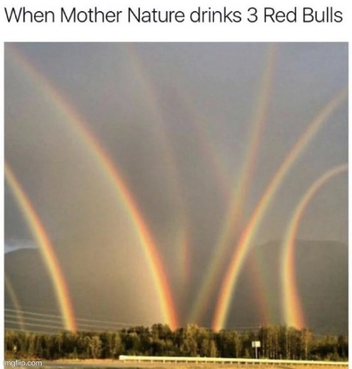 true | image tagged in funny,memes,lol,redbull,earth | made w/ Imgflip meme maker