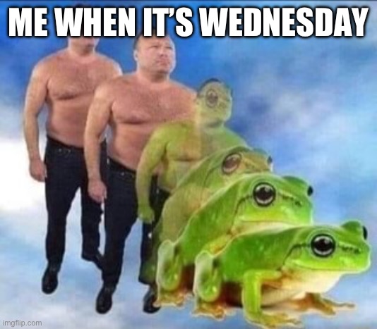 It’s Wednesday my dude | ME WHEN IT’S WEDNESDAY | image tagged in frog,wednesday,morph | made w/ Imgflip meme maker