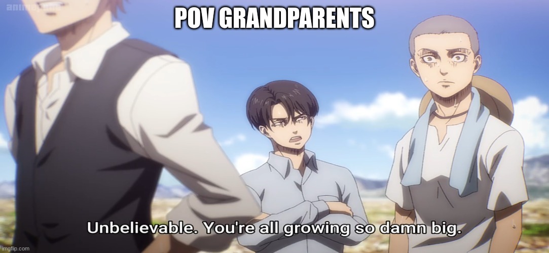 so freaking true | POV GRANDPARENTS | image tagged in attack on titan | made w/ Imgflip meme maker