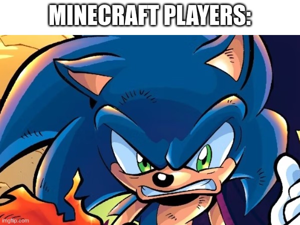 MINECRAFT PLAYERS: | made w/ Imgflip meme maker