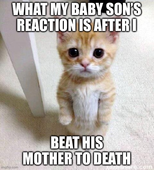 Relatable | WHAT MY BABY SON’S REACTION IS AFTER I; BEAT HIS MOTHER TO DEATH | image tagged in memes,cute cat | made w/ Imgflip meme maker