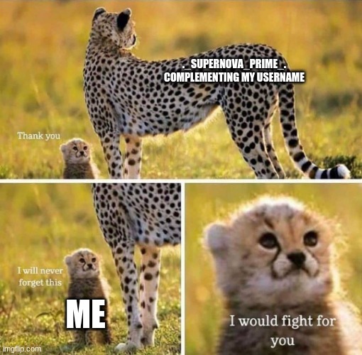 THX :DDDDD | ._SUPERNOVA_PRIME_. COMPLEMENTING MY USERNAME; ME | image tagged in i would fight for you,wholesome | made w/ Imgflip meme maker