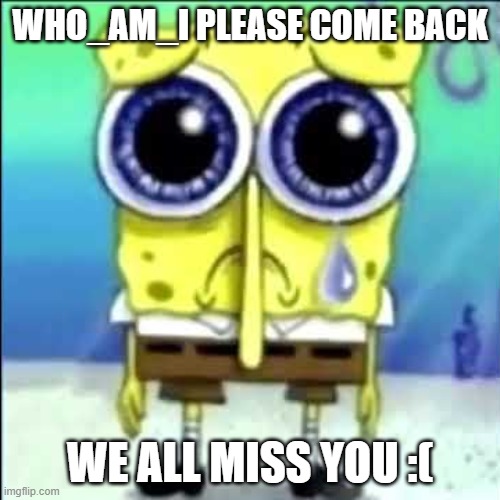 please come back who_am_i :( | WHO_AM_I PLEASE COME BACK; WE ALL MISS YOU :( | image tagged in sad spongebob,memes | made w/ Imgflip meme maker