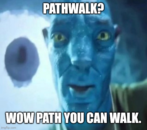 Pathwalk | PATHWALK? WOW PATH YOU CAN WALK. | image tagged in avatar guy | made w/ Imgflip meme maker
