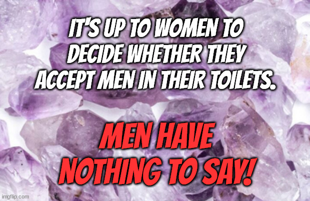 women spaces | IT'S UP TO WOMEN TO DECIDE WHETHER THEY ACCEPT MEN IN THEIR TOILETS. MEN HAVE NOTHING TO SAY! | image tagged in women rights,patriarchy,transgender,transgender bathroom | made w/ Imgflip meme maker