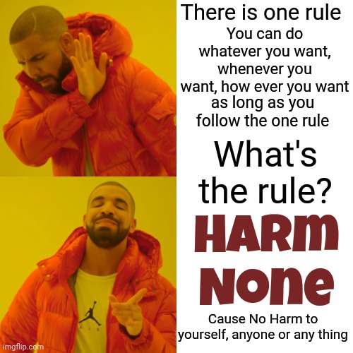 See How Easy That Was | There is one rule; You can do whatever you want, whenever you want, how ever you want; as long as you follow the one rule; What's the rule? Harm None; Cause No Harm to yourself, anyone or any thing | image tagged in memes,drake hotline bling,love,cause no harm,harm none,be kind | made w/ Imgflip meme maker