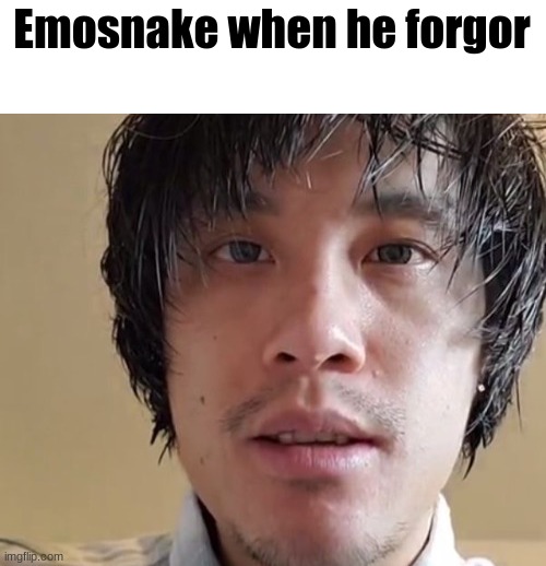 Staring | Emosnake when he forgor | image tagged in staring | made w/ Imgflip meme maker
