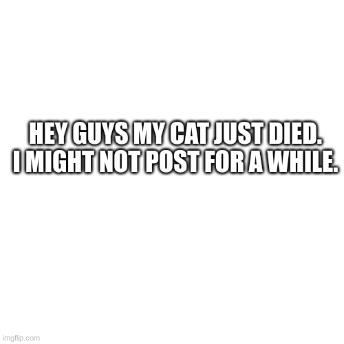 Blank Transparent Square | HEY GUYS MY CAT JUST DIED. I MIGHT NOT POST FOR A WHILE. | image tagged in memes,blank transparent square | made w/ Imgflip meme maker