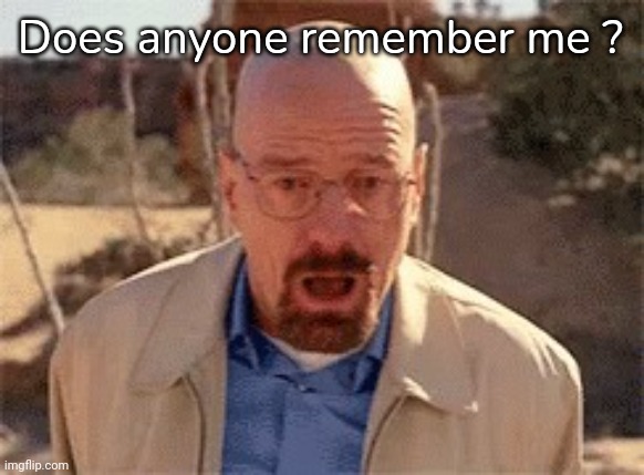 Walter White | Does anyone remember me ? | image tagged in walter white | made w/ Imgflip meme maker