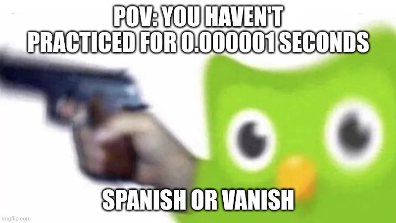 duolingo gun | POV: YOU HAVEN'T PRACTICED FOR 0.000001 SECONDS; SPANISH OR VANISH | image tagged in duolingo gun | made w/ Imgflip meme maker