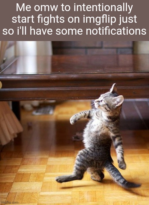 I do this | Me omw to intentionally start fights on imgflip just so i'll have some notifications | image tagged in cat walking like a boss,imgflip | made w/ Imgflip meme maker