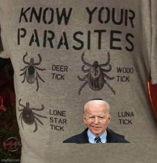 A PSA for the Summer Months | image tagged in bloodsucker,parasite,politician,beware,pain,butt hurt | made w/ Imgflip meme maker