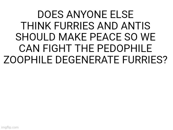 It makes sense | DOES ANYONE ELSE THINK FURRIES AND ANTIS SHOULD MAKE PEACE SO WE CAN FIGHT THE PEDOPHILE ZOOPHILE DEGENERATE FURRIES? | image tagged in blank white template,anti furry | made w/ Imgflip meme maker