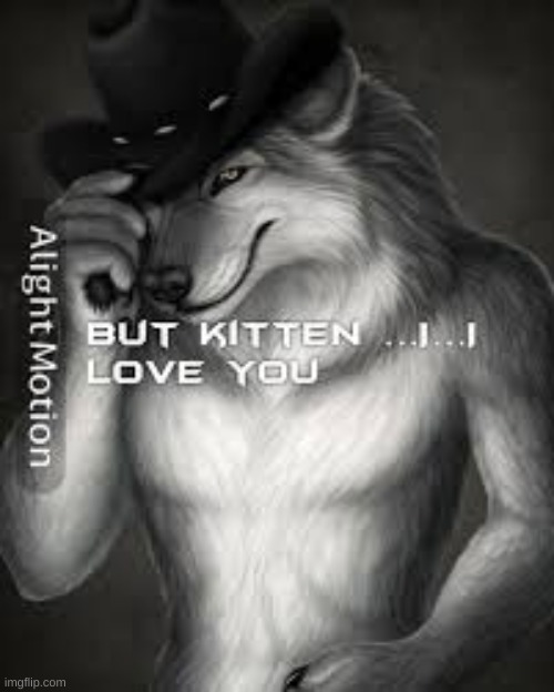 but kitten.. | made w/ Imgflip meme maker
