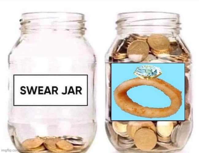 The real onion ring | image tagged in swear jar,onion ring,onion rings,memes,onion,ring | made w/ Imgflip meme maker