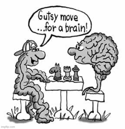 What did the Intestine say to the Brain during a Chess Game? | image tagged in vince vance,brains,guts,intestines,cartoons,chess | made w/ Imgflip meme maker