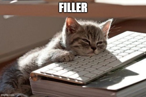Sleepy Kitten | FILLER | image tagged in sleepy kitten | made w/ Imgflip meme maker