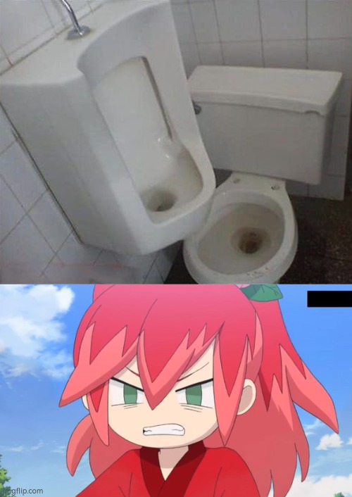 This is unbelievable! | image tagged in toilet | made w/ Imgflip meme maker