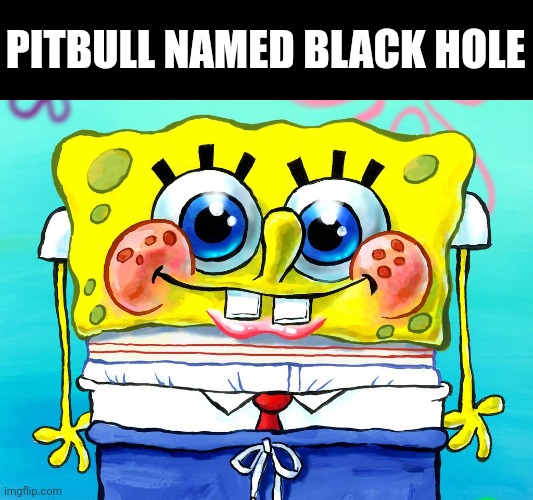 PITBULL NAMED BLACK HOLE | made w/ Imgflip meme maker
