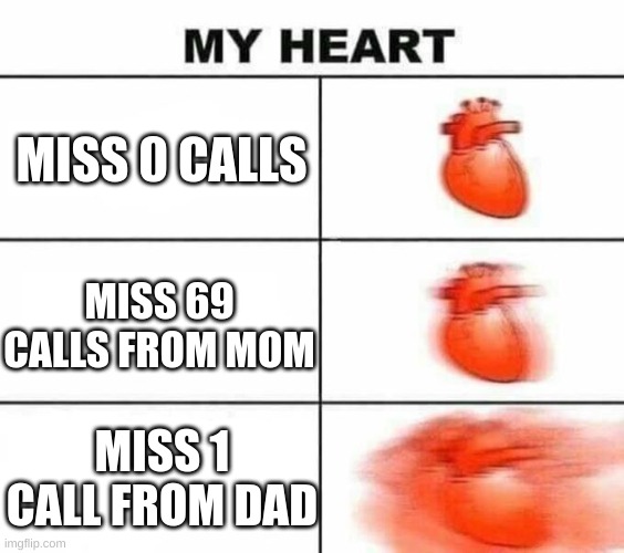 classic | MISS 0 CALLS; MISS 69 CALLS FROM MOM; MISS 1 CALL FROM DAD | image tagged in my heart blank,classic,calls | made w/ Imgflip meme maker