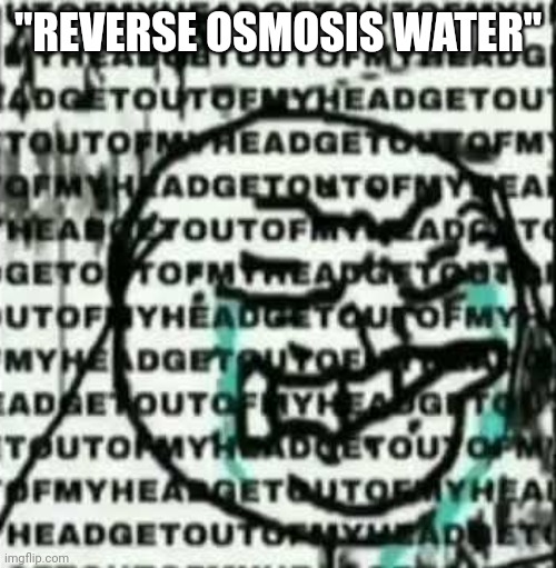 get out of my head | "REVERSE OSMOSIS WATER" | image tagged in get out of my head | made w/ Imgflip meme maker