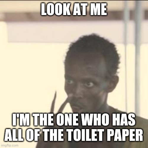 All of it | LOOK AT ME; I'M THE ONE WHO HAS ALL OF THE TOILET PAPER | image tagged in memes,look at me,funny memes | made w/ Imgflip meme maker