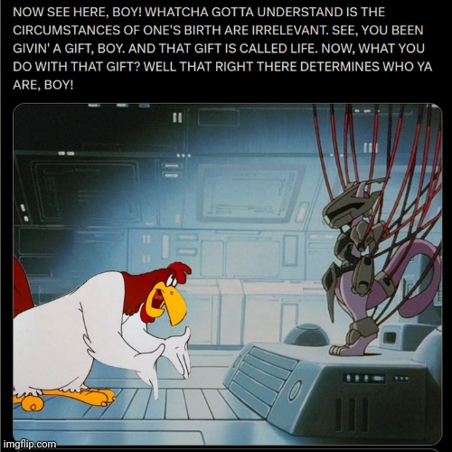 image tagged in foghorn leghorn | made w/ Imgflip meme maker