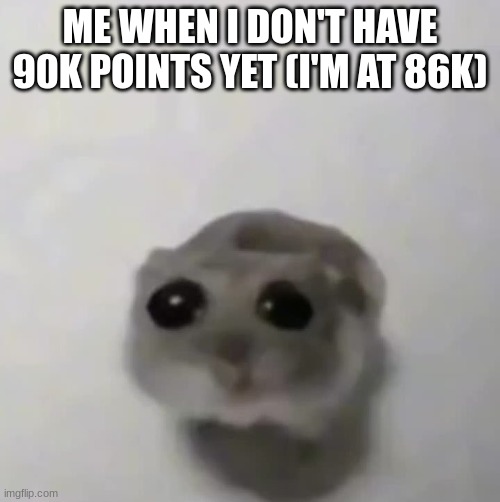sad hamster | ME WHEN I DON'T HAVE 90K POINTS YET (I'M AT 86K) | image tagged in sad hamster | made w/ Imgflip meme maker