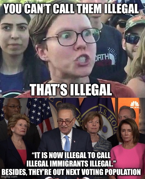 YOU CAN’T CALL THEM ILLEGAL THAT’S ILLEGAL “IT IS NOW ILLEGAL TO CALL ILLEGAL IMMIGRANTS ILLEGAL.”
BESIDES, THEY’RE OUT NEXT VOTING POPULATI | image tagged in triggered liberal,democrat congressmen | made w/ Imgflip meme maker