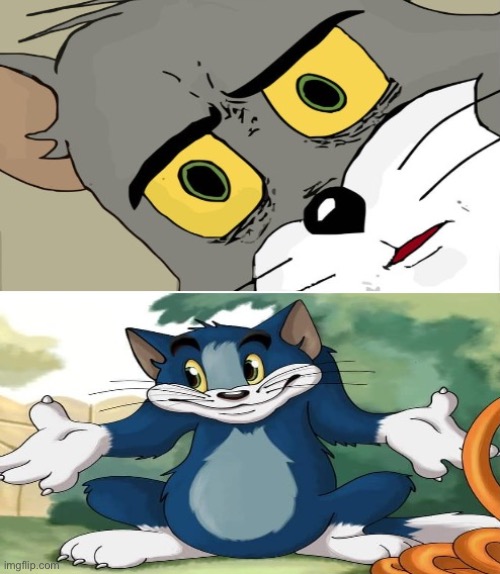 Tom and Jerry confused but okay with it | image tagged in tom and jerry confused but okay with it | made w/ Imgflip meme maker