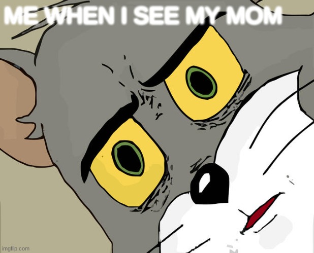 Unsettled Tom Meme | ME WHEN I SEE MY MOM | image tagged in memes,unsettled tom | made w/ Imgflip meme maker