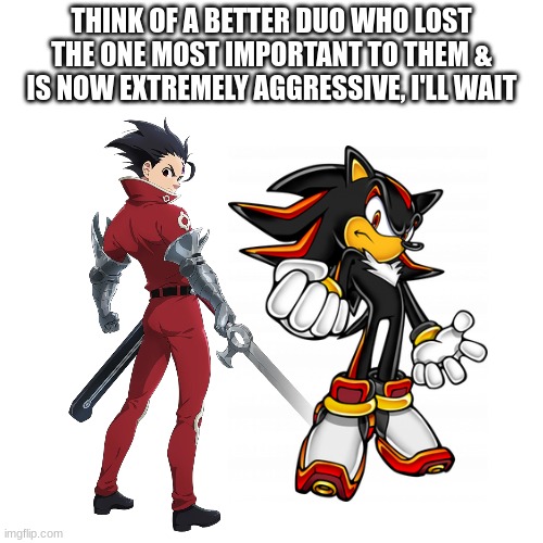 Zeldris & Shadow have too much in Common | THINK OF A BETTER DUO WHO LOST THE ONE MOST IMPORTANT TO THEM & IS NOW EXTREMELY AGGRESSIVE, I'LL WAIT | image tagged in seven deadly sins,shadow the hedgehog,sonic x | made w/ Imgflip meme maker