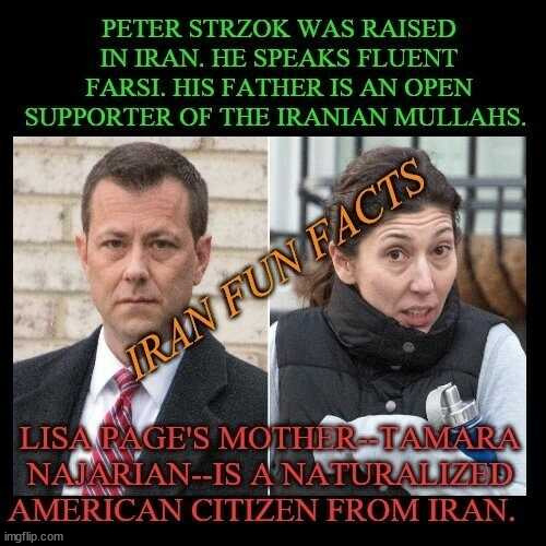 Iran Fun Facts | image tagged in strzok,page,love birds,iran,fun facts | made w/ Imgflip meme maker