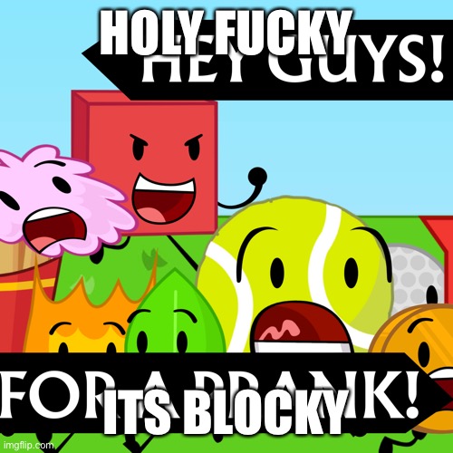 HOLY FUCKY; ITS BLOCKY | made w/ Imgflip meme maker