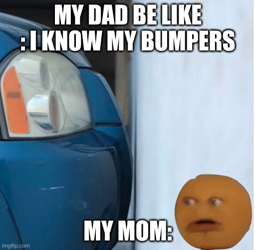 Car Parked close to Wall | MY DAD BE LIKE : I KNOW MY BUMPERS; MY MOM: | image tagged in car parked close to wall | made w/ Imgflip meme maker