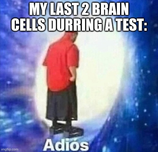 everyone gets this | MY LAST 2 BRAIN CELLS DURRING A TEST: | image tagged in adios | made w/ Imgflip meme maker