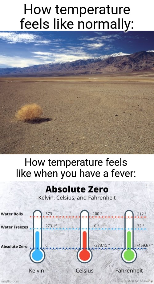 zero kelvin moment | How temperature feels like normally:; How temperature feels like when you have a fever: | image tagged in desert tumbleweed,blank white template | made w/ Imgflip meme maker