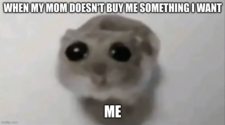 relate | WHEN MY MOM DOESN'T BUY ME SOMETHING I WANT; ME | image tagged in sad hamster | made w/ Imgflip meme maker